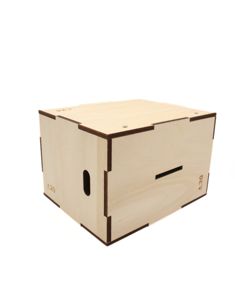 Wooden Plyo Box (Savings Box)